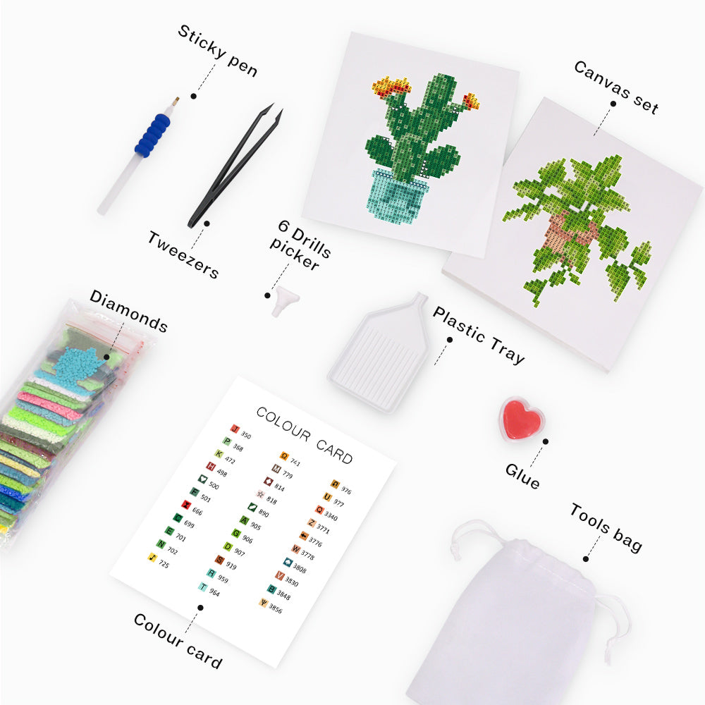 Mini-Cactus and Plant Set