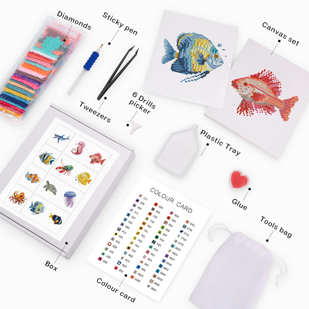 Mini-Ocean Wonders