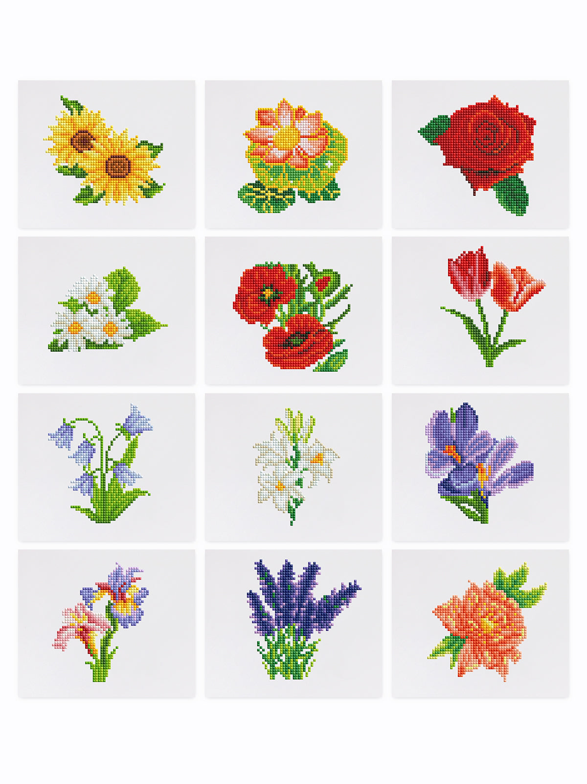 Mini-Colorful Floral Blooms
