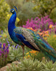Peacock in the Garden - Diamond Painting
