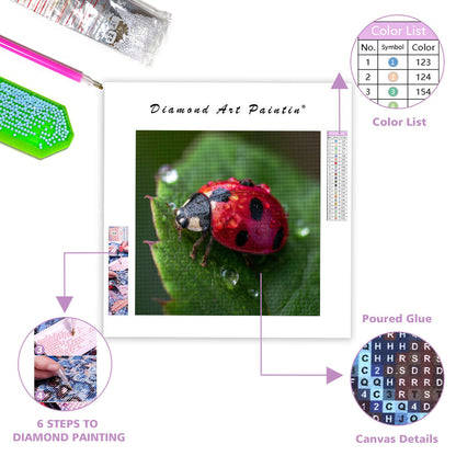 Ladybug on a Leaf - Diamond Painting