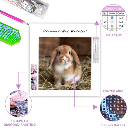 Holland Lop Bunny - Diamond Painting