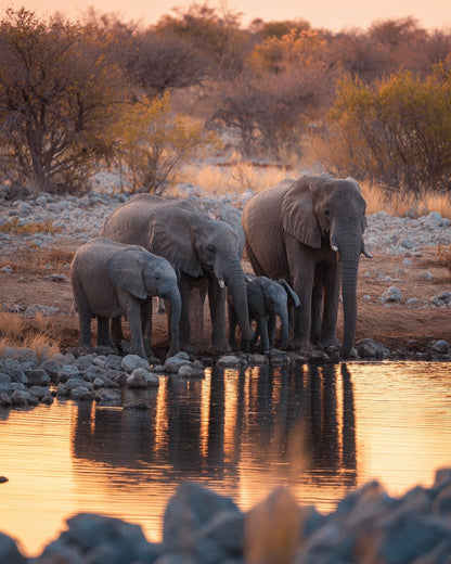 Elephant Family at the Waterhole - Diamond Painting