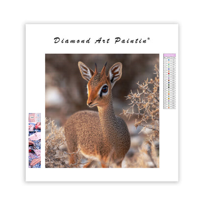 Dik-dik Antelope - Diamond Painting