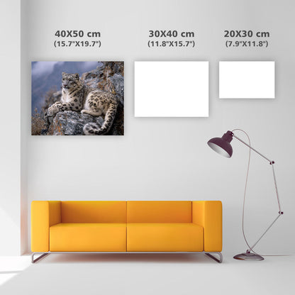 Snow Leopard on Cliff - Diamond Painting