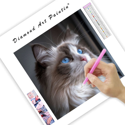 Ragdoll Blue Eyes - Diamond Painting