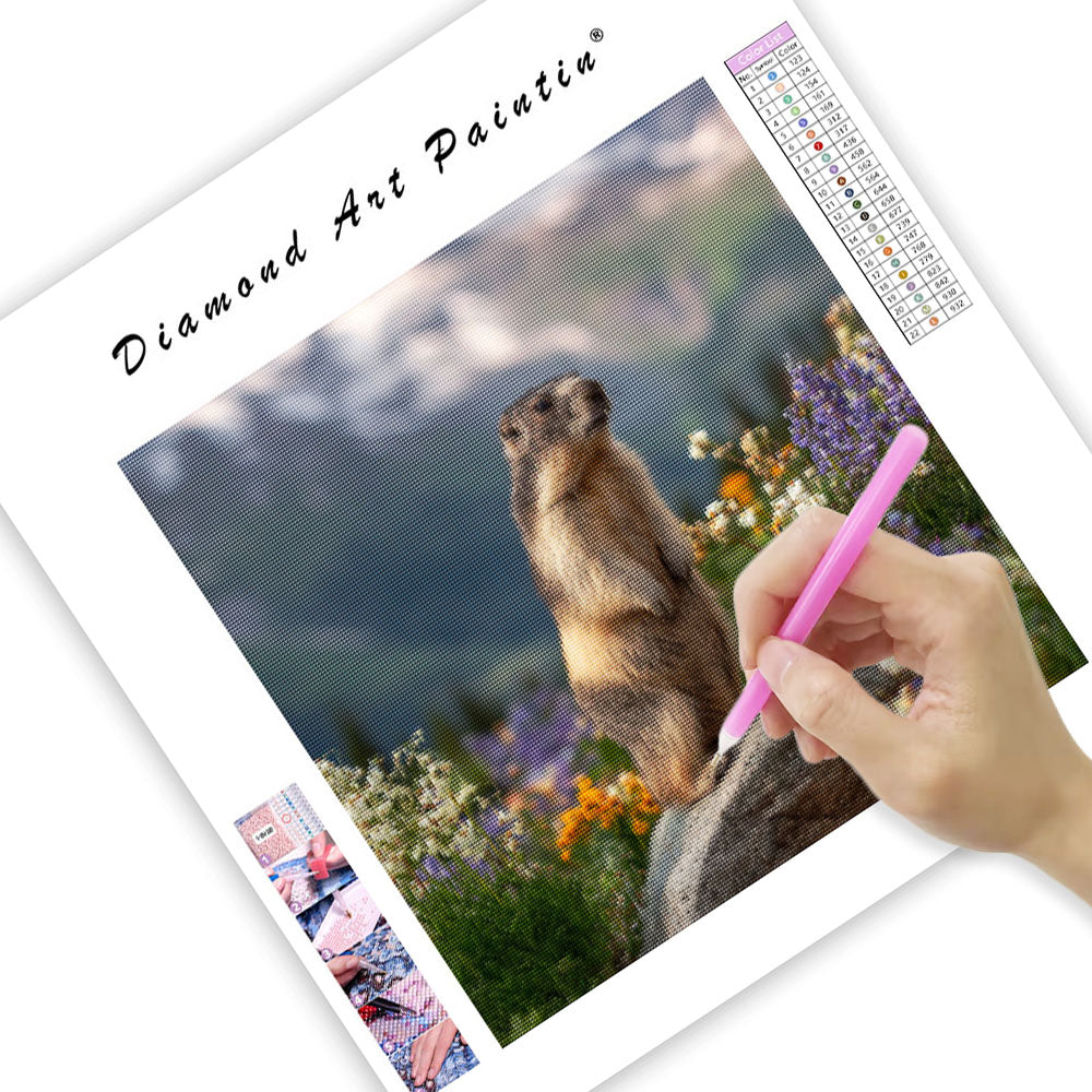 Marmot Whistling - Diamond Painting
