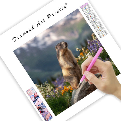 Marmot Whistling - Diamond Painting