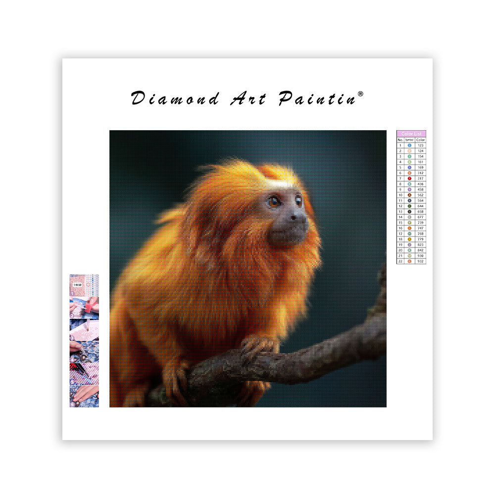 Golden Lion Tamarin - Diamond Painting