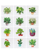Mini-Leafy Green Paradise