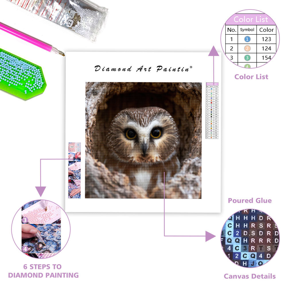 Saw-whet Owl Peeking - Diamond Painting
