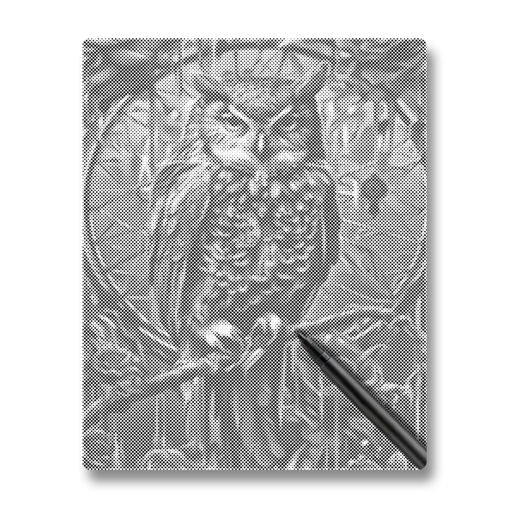 An Owl - Dot Painting