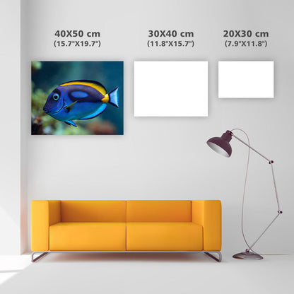 Regal Tang Fish - Diamond Painting