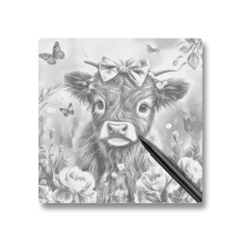 Adorable Highland Calf with Flowers - Dot Painting