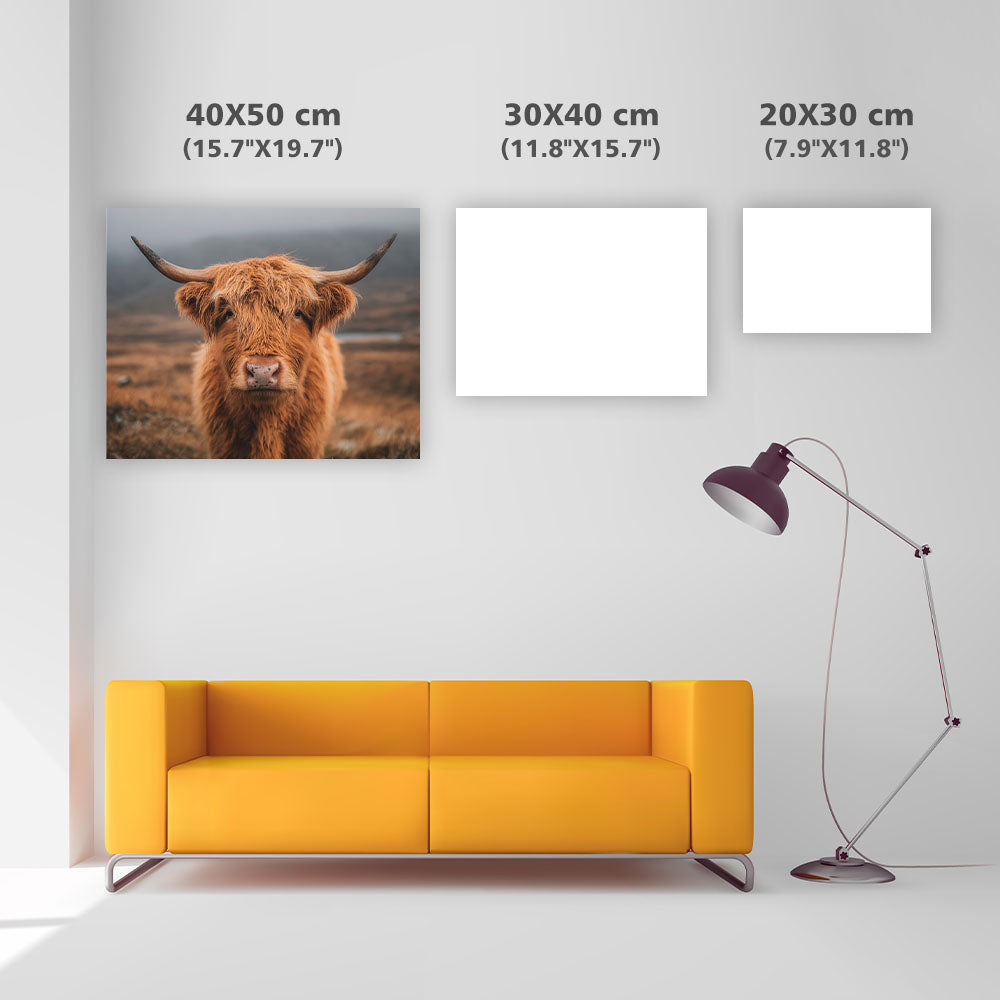 Fluffy Highland Cow - Diamond Painting