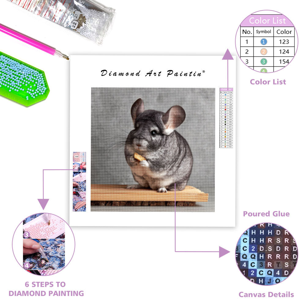 Chinchilla on Perch - Diamond Painting