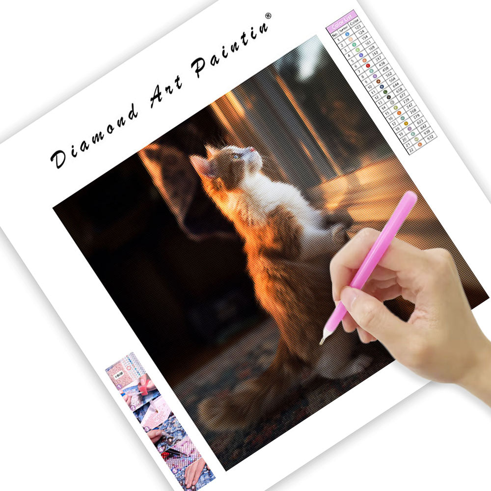 Munchkin Cat Window Gazing - Diamond Painting