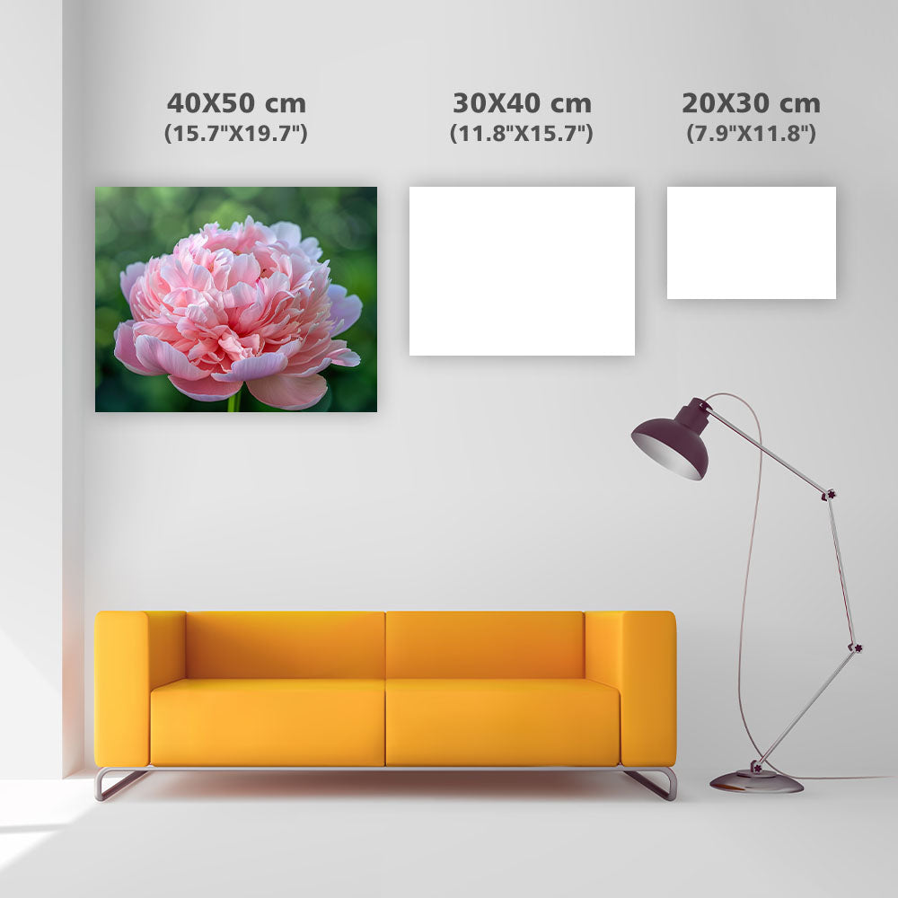 Peony Prosperity - Diamond Painting