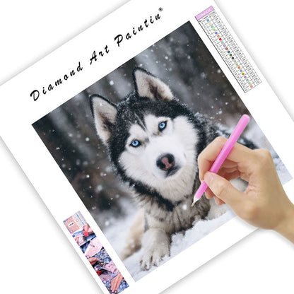 Husky in Snow - Diamond Painting