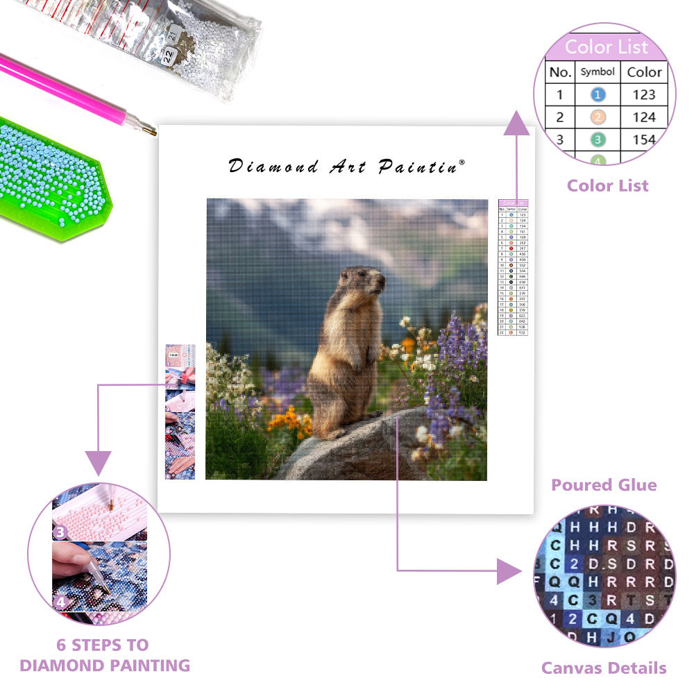 Marmot Whistling - Diamond Painting