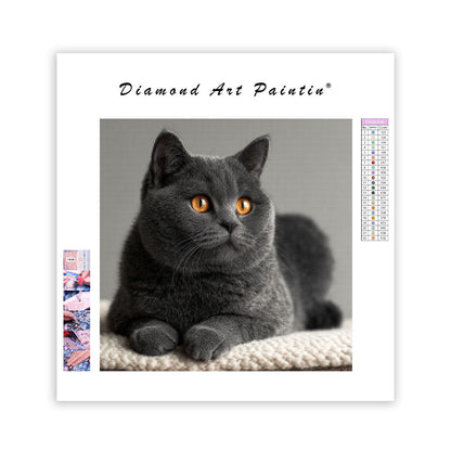 Silver Gray Gaze - Diamond Painting