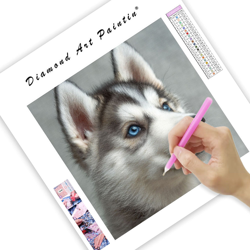 Inquisitive Fluffy Pup - Diamond Painting