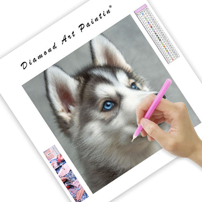 Inquisitive Fluffy Pup - Diamond Painting
