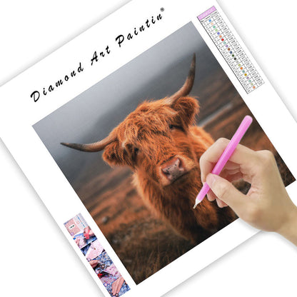 Fluffy Highland Cow - Diamond Painting