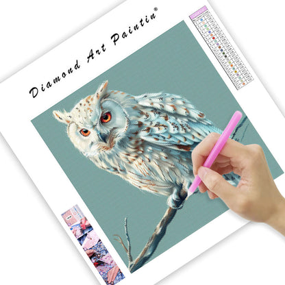 Peaceful Owl - Diamond Painting