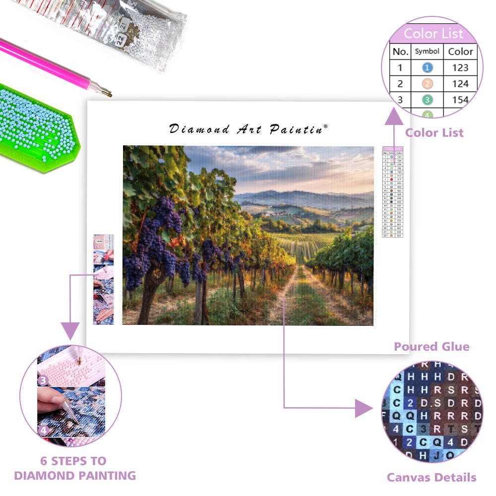 Vineyard at Harvest Time - Diamond Painting