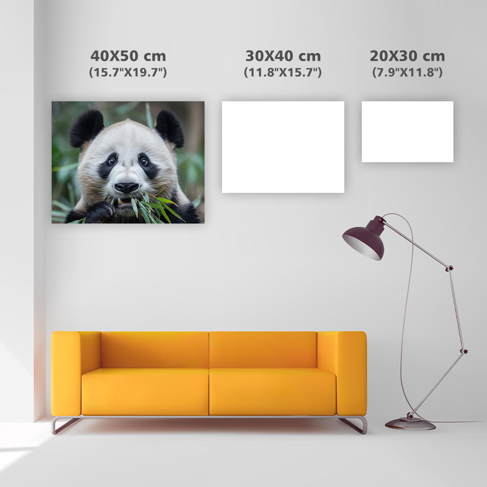 Panda Peace - Diamond Painting