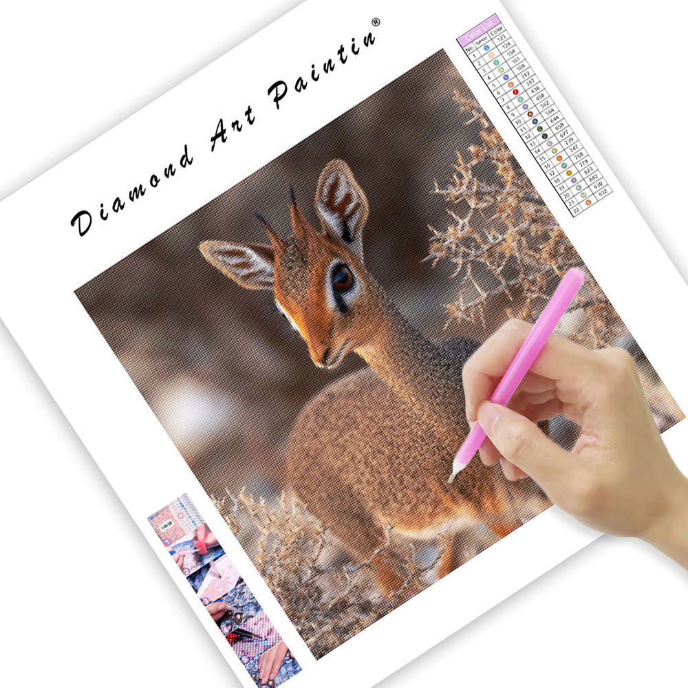 Dik-dik Antelope - Diamond Painting