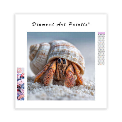 Hermit Crab in Shell - Diamond Painting