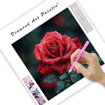 Velvet Rose - Diamond Painting