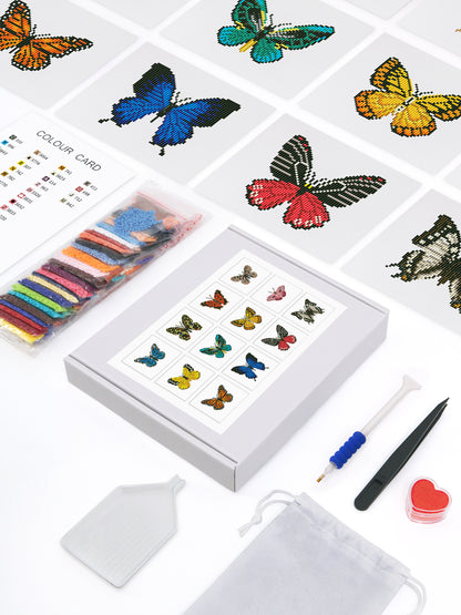 Mini-Vibrant Butterfly Garden