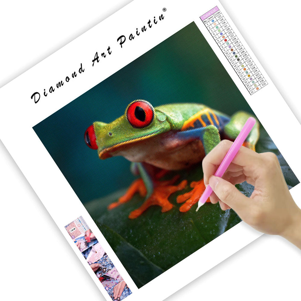 Red-eyed Tree Frog - Diamond Painting