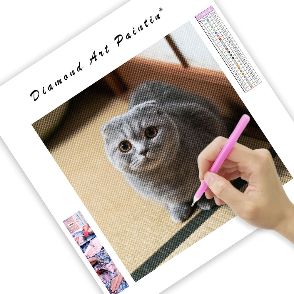 Scottish Fold Loaf - Diamond Painting