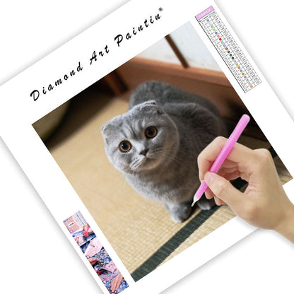 Scottish Fold Loaf - Diamond Painting