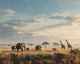 Safari in the Savanna - Diamond Painting