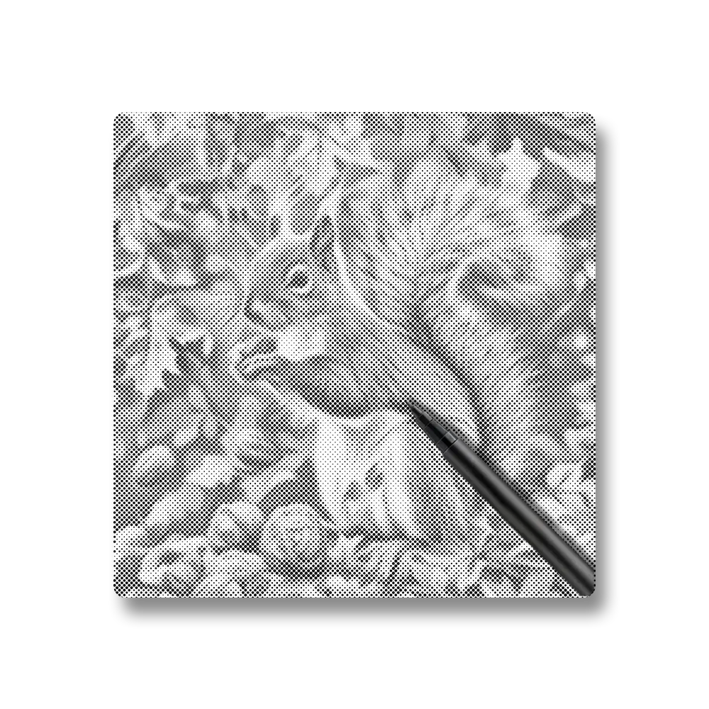 Squirrel In Autumn Leaves - Dot Painting