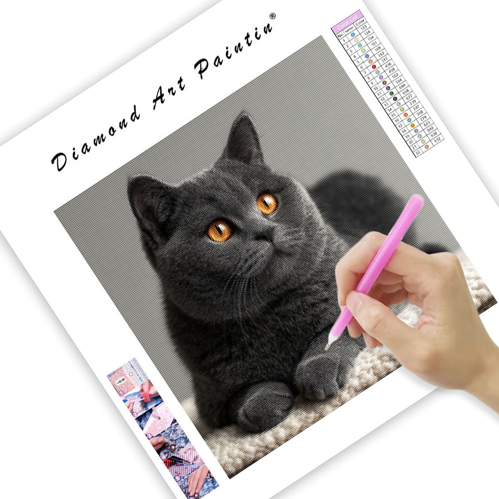 Silver Gray Gaze - Diamond Painting