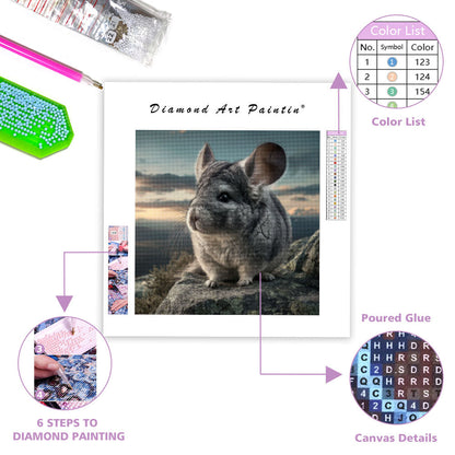 Chinchilla on Rock - Diamond Painting