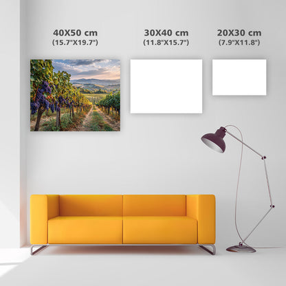 Vineyard at Harvest Time - Diamond Painting