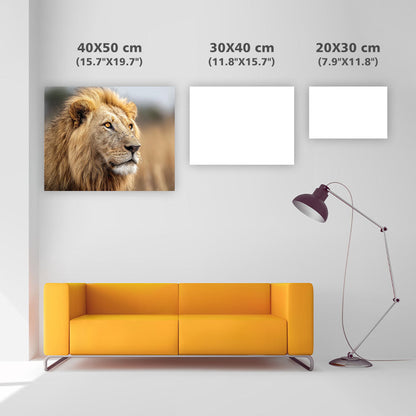 Lion's Majestic Gaze - Diamond Painting