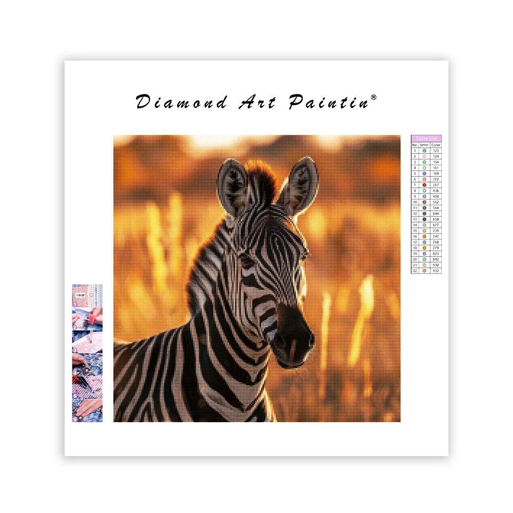 Zebra Stripes - Diamond Painting