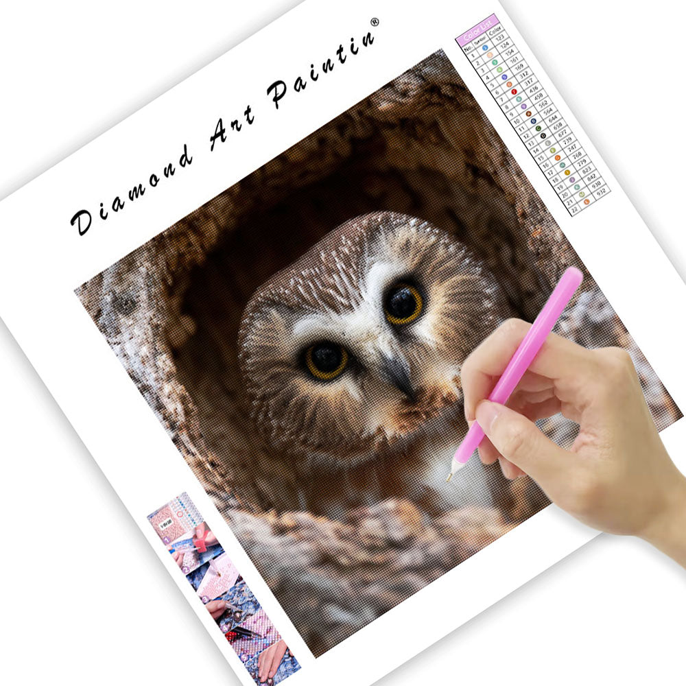 Saw-whet Owl Peeking - Diamond Painting