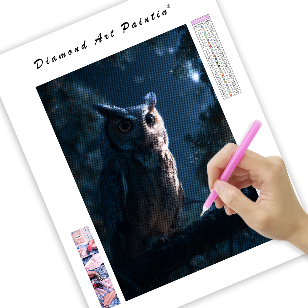 Owl in the Forest at Night - Diamond Painting