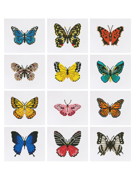 Mini-Vibrant Butterfly Garden