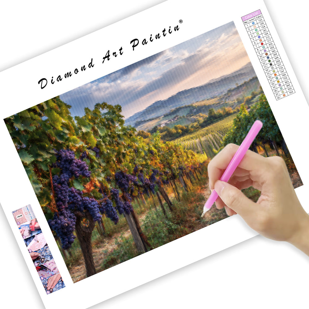 Vineyard at Harvest Time - Diamond Painting