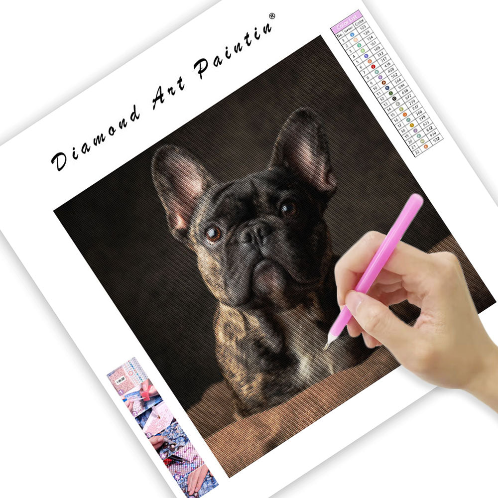 French Bulldog Adoring Gaze - Diamond Painting
